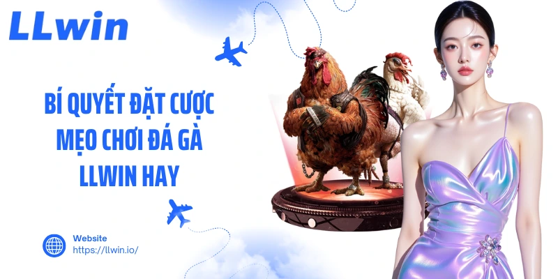 Bí quyết đặt cược mẹo chơi đá gà LLWIN hay