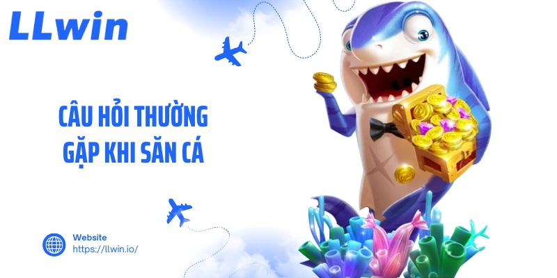 Câu hỏi thường gặp khi săn cá